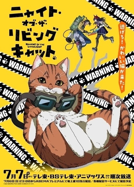 NYAIGHT OF THE LIVING CAT