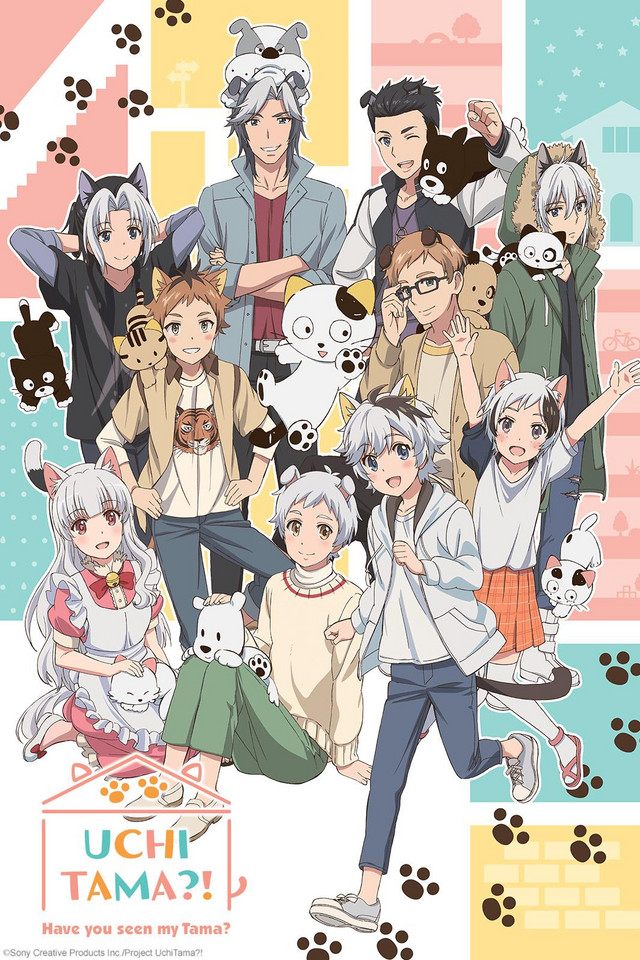 Uchi Tama?! Uchi no Tama Shirimasen ka?